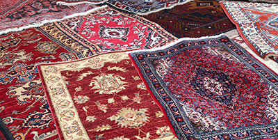 rug cleaning Southwest Ranches
